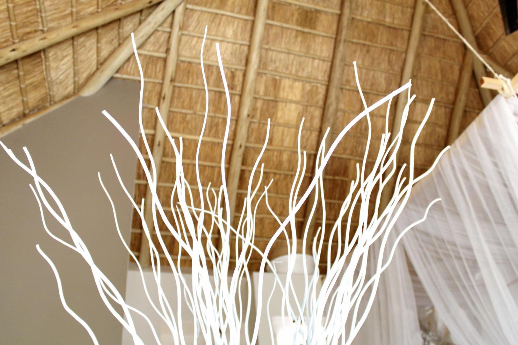 African Flair Boutique Safari Lodge 侯斯普瑞特 外观 照片